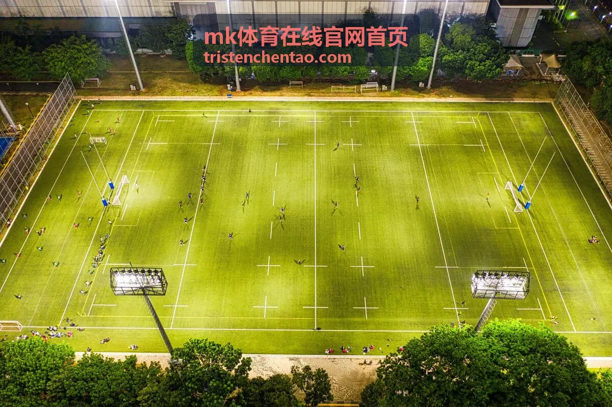 mk体育在线官网首页客户端赛事总览界面示意