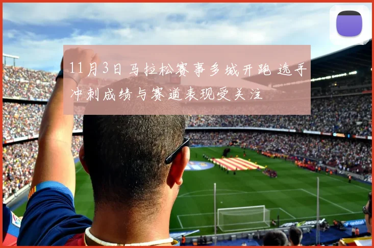 11月3日马拉松赛事多城开跑 选手冲刺成绩与赛道表现受关注