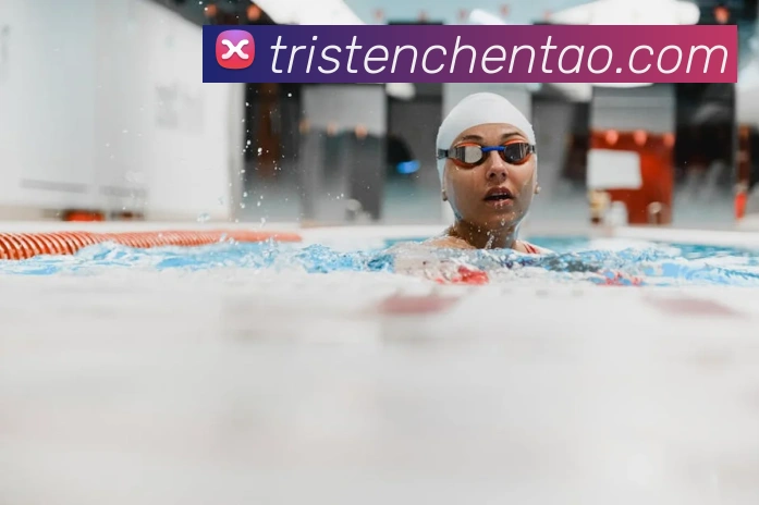 世界杯官网登录appAPP 封面图